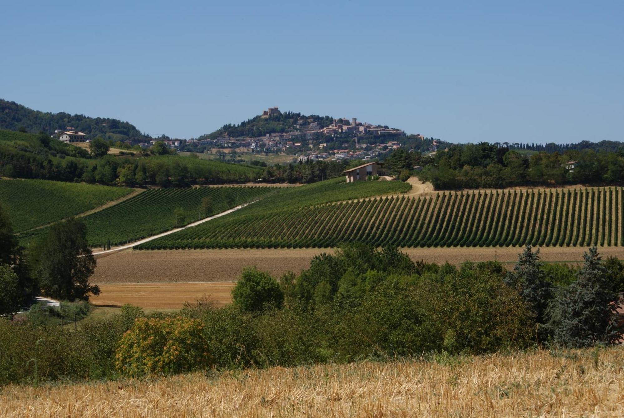 Agriturismo Al Colle Bertinoro Buitenkant foto